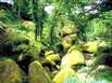 Die „innere“ Bretagne: