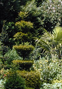Botanischer Garten der Bretagne