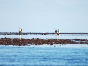 Ile Molene Wanderung