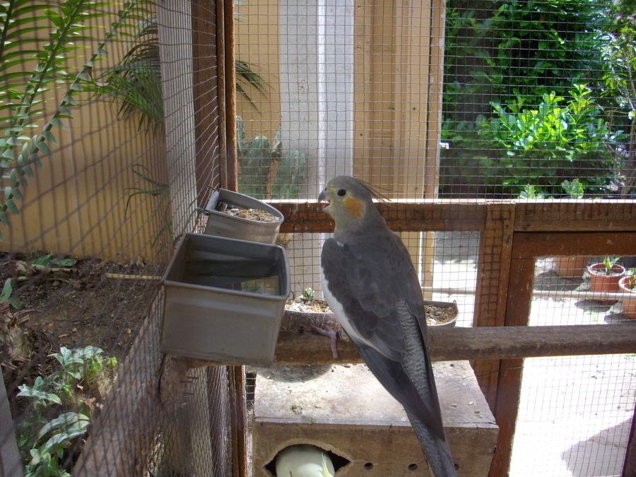 Tropical Parc in Saint-Jacut-les-Pins im Département Morbihan