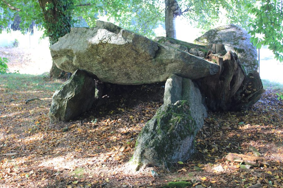 Allée couverte de Kergonfalz, ein megalithisches Zeugnis in Bignan im Morbihan