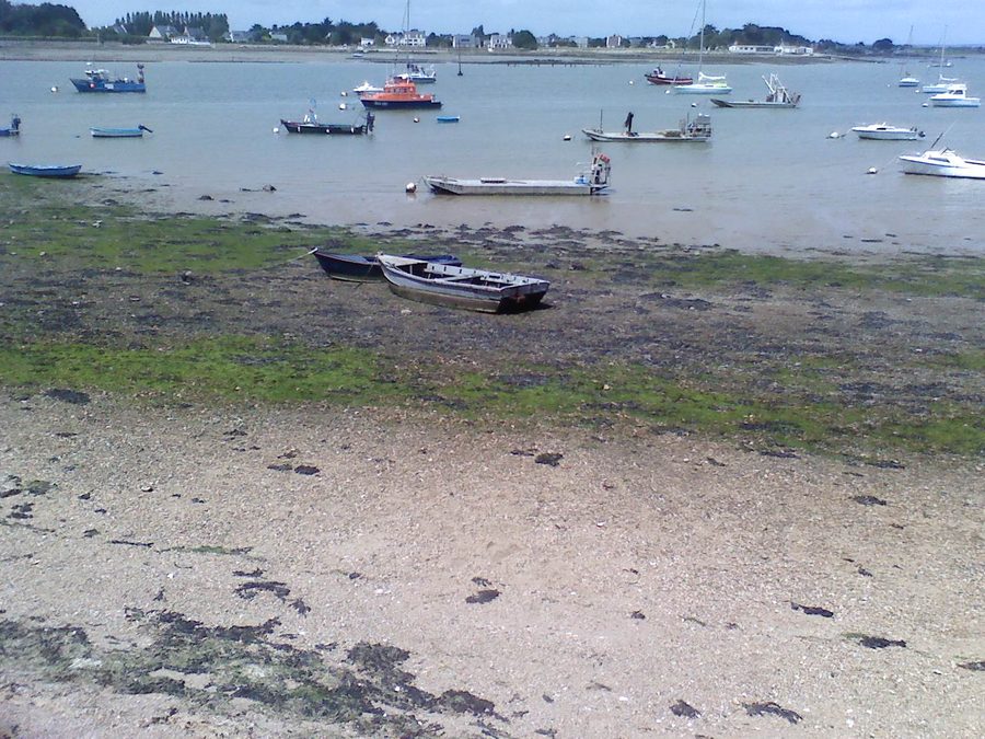 Hafen von Penerf in Damgan an der Rivière de Pénerf