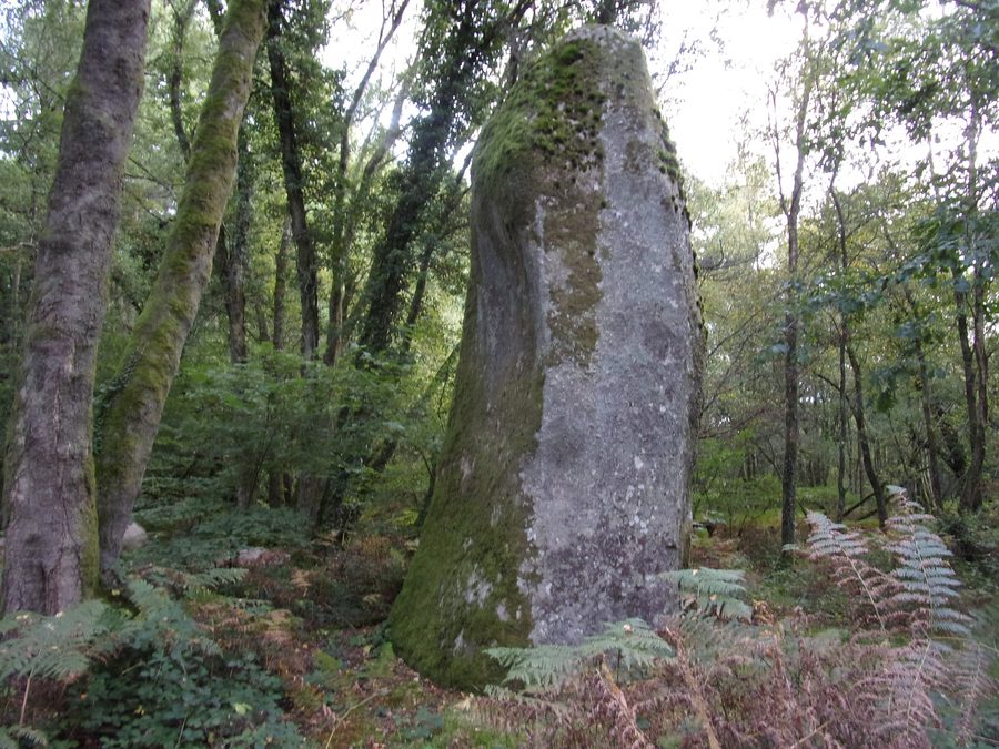 Menhir La Quenouille du Diable bei Silfiac