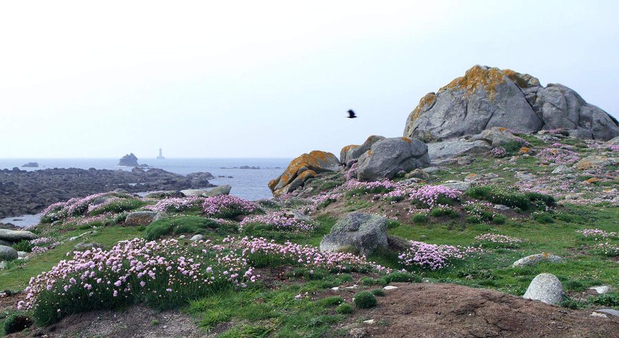 Presqu’île Saint-Laurent an der Küste von Porspoder