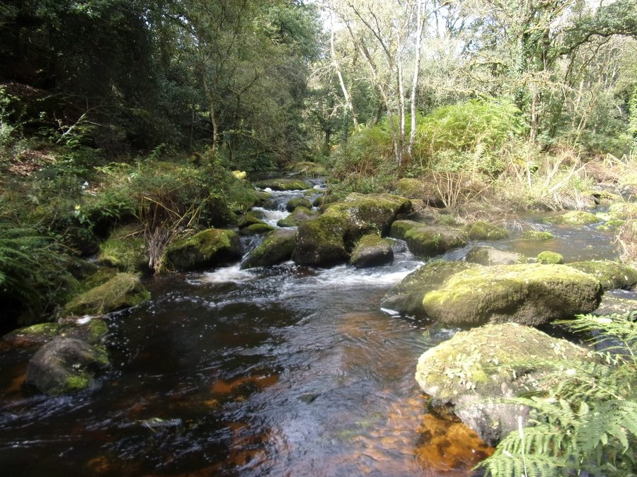 Rivière Aër près du village de Kergoff à Le Croisty, dans le Morbihan