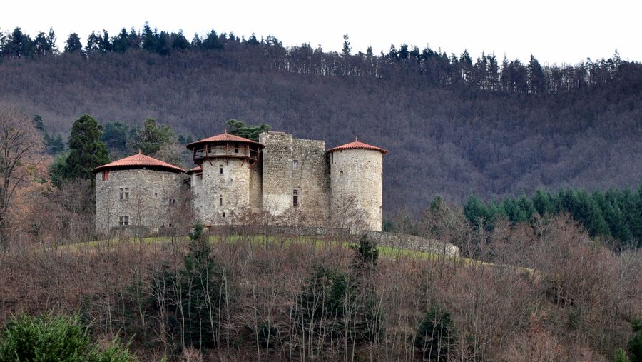 Château de La Chèze von der Straße nach Saint-Martin aus gesehen