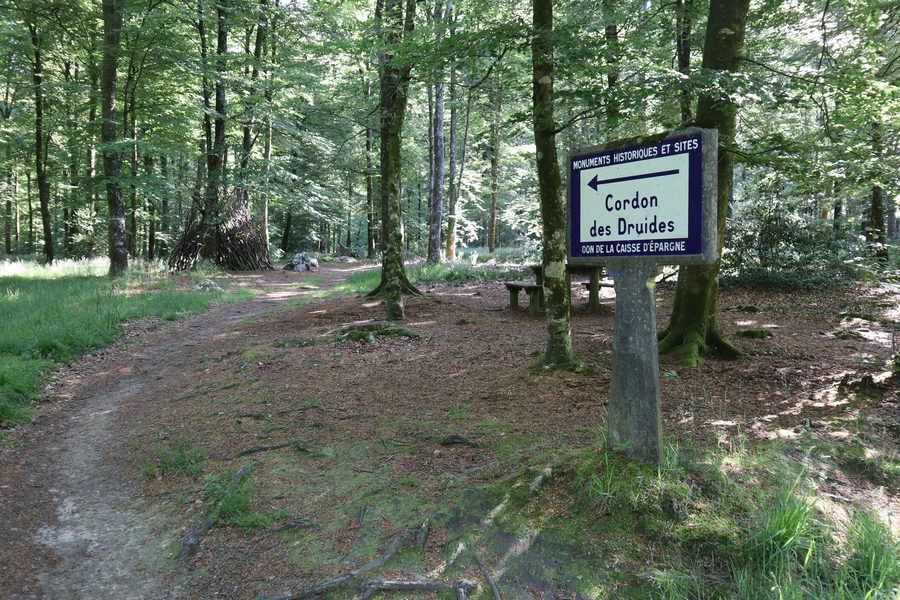 Cordon des Druides à Landéan, dans la forêt de Fougères