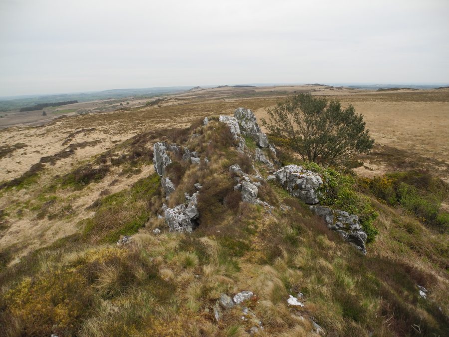 Landschaft am Roc’h Ruz in den Monts d’Arrée bei Plounéour-Ménez