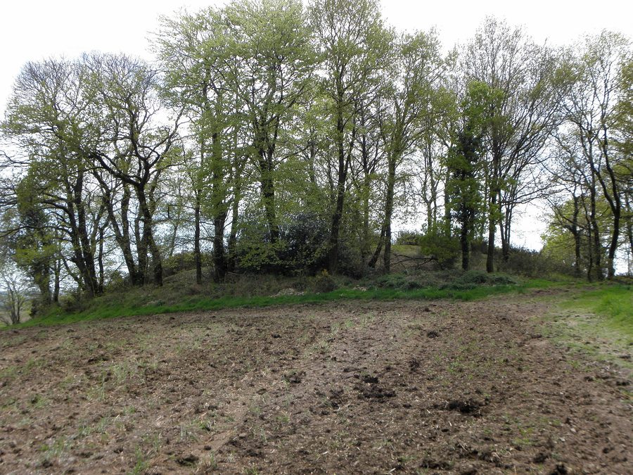 Tumulus de Saint-Fiacre, commune de Melrand