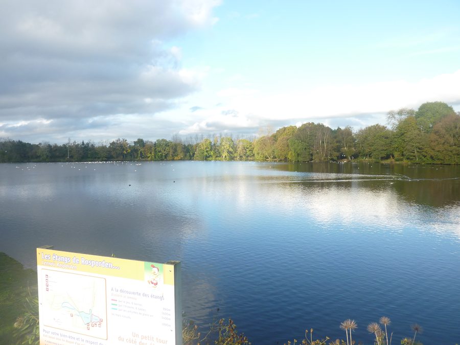 Einer der Teiche von Rosporden