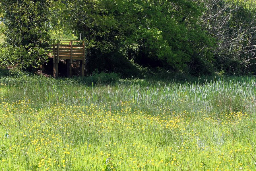Steg an einem Teich im Parc du Quincampoix in Melesse