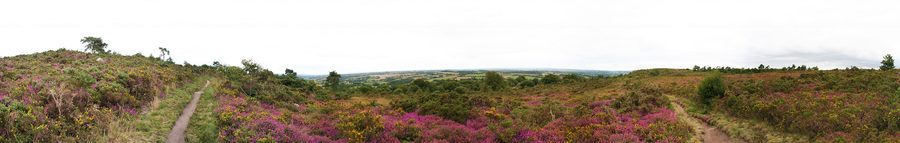 Vue panoramique des landes de Locarn en Bretagne