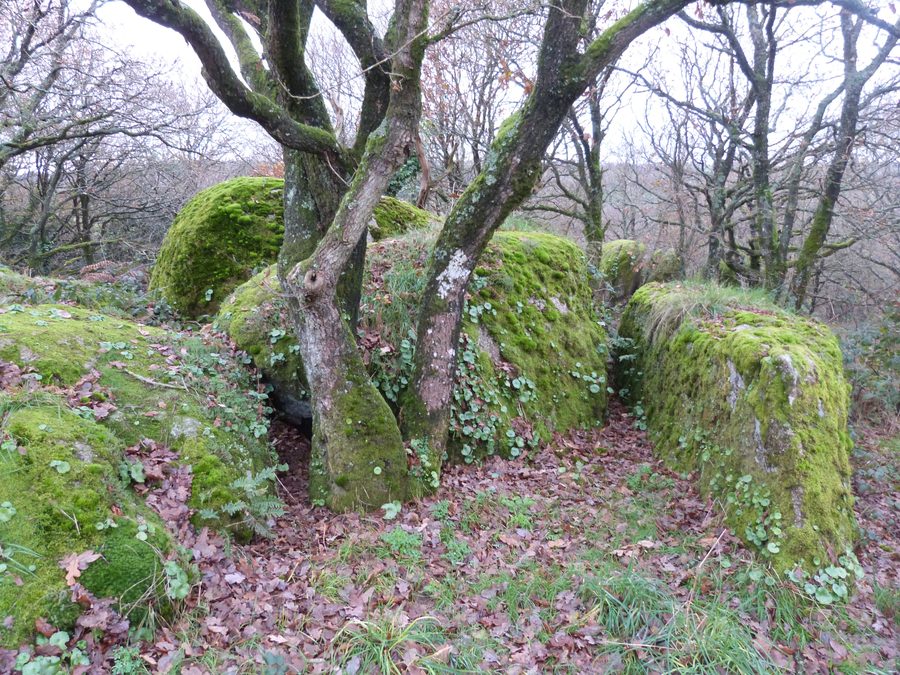 Granitblöcke am Mont Croquelien bei Le Gouray in der Bretagne