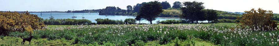 Blick auf den Süden der Île-aux-Moines mit dem Hafen von Diahuen und dem Kap Nioul im Golf von Morbihan