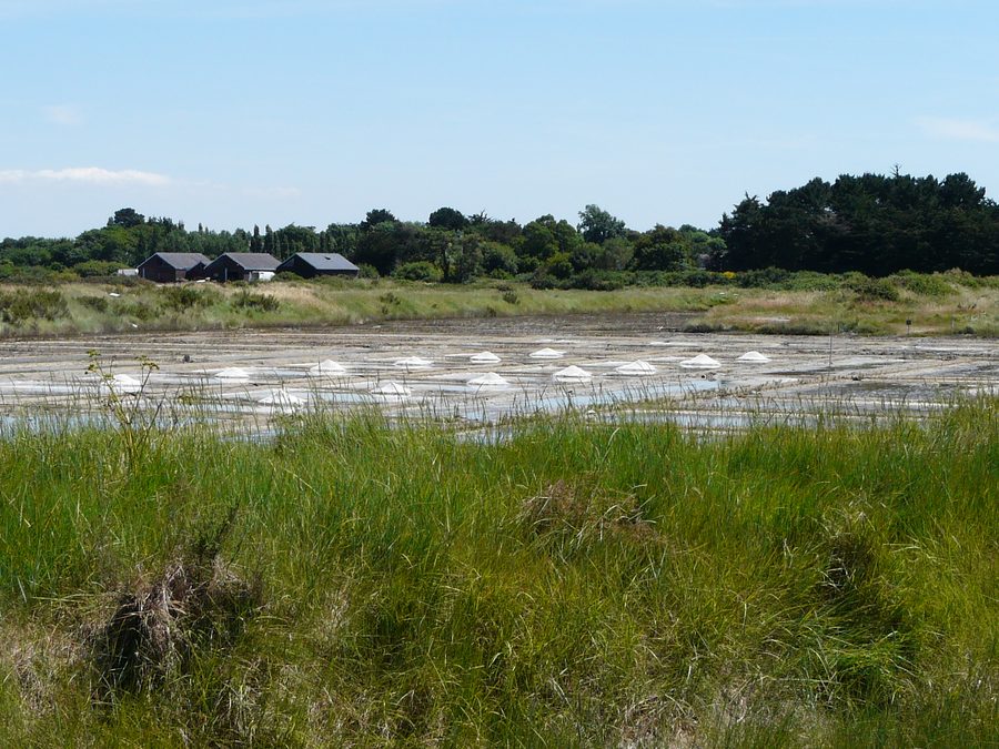 Exploitation de sel dans le marais de Lasné à Saint-Armel, dans le Morbihan