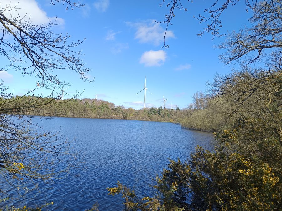 Étang Rolin in Québriac, Ille-et-Vilaine, Bretagne
