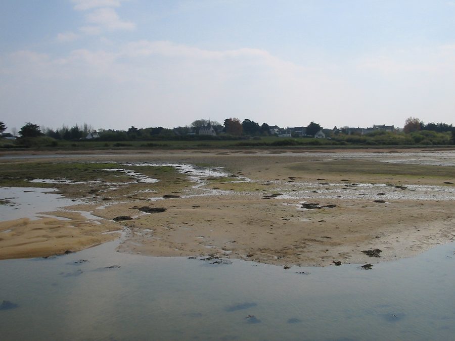 Uferlandschaft von Île d'Arz im Golf von Morbihan