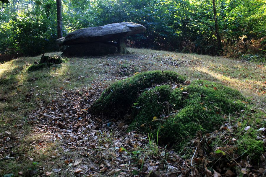 Dolmen du Roh-Du, auch Dolmen de Rode genannt, in der Forêt de Floranges