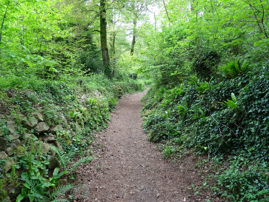 Botanischer Entdeckungspfad von Lanrien in Landudec