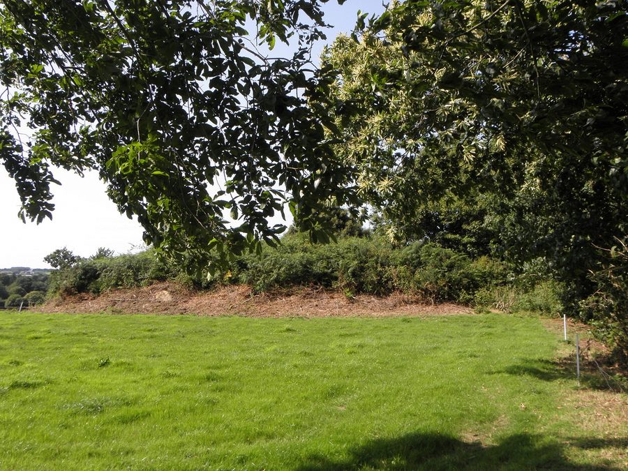 Bronzezeitlicher Tumulus Run-ar-Bleiz bei Porsmeur in Plouégat-Guérand