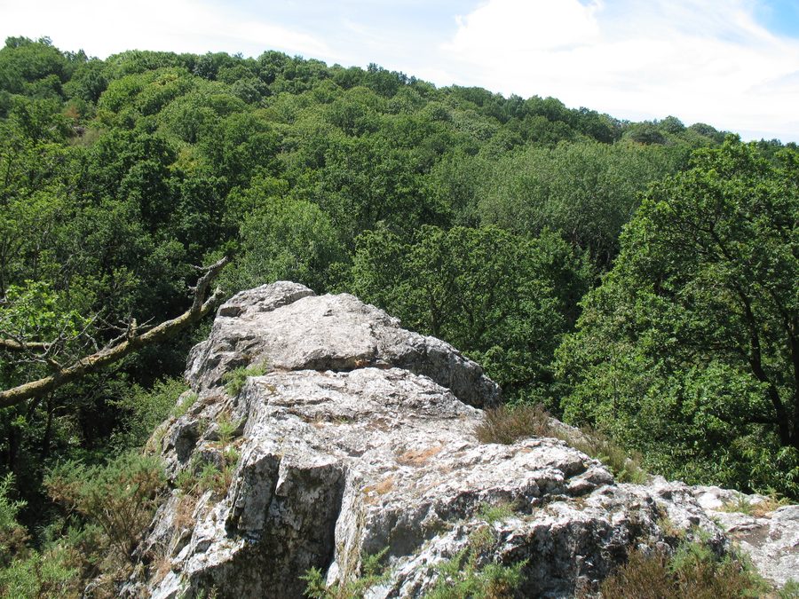 Les falaises de Saut Roland à Dompierre-du-Chemin