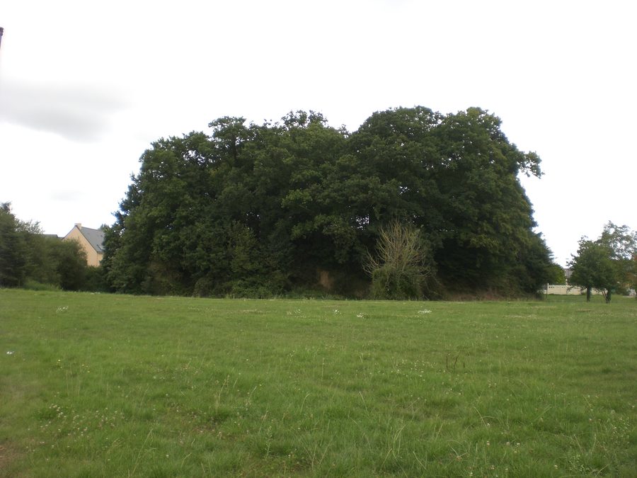 Erhaltene mittelalterliche Motte Jubin in Bédée