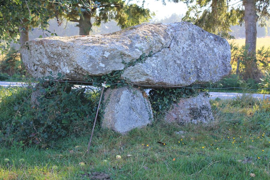 Dolmen von Kermorvant in Moustoir-Ac