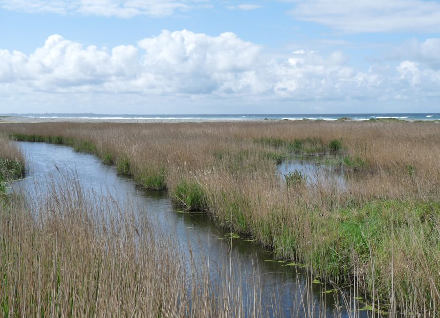 Geschützte Naturlandschaft von Kerbinigou in der Bucht von Audierne bei Tréogat