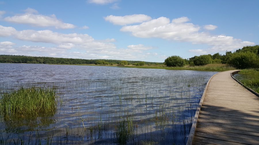 Blick auf den Étang du Boulet im Département Ille-et-Vilaine