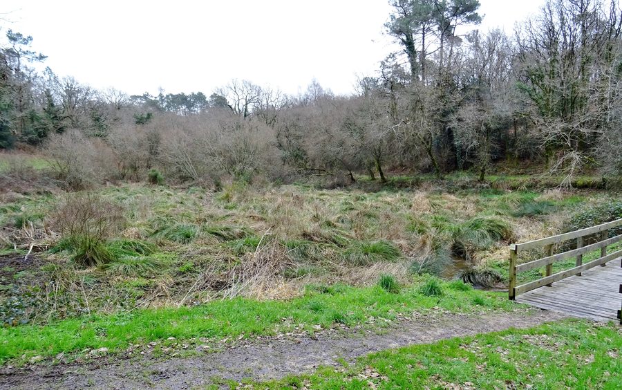 L’ancien étang de Pont Person à Cléguer, devenu une zone naturelle humide sur un affluent du Scorff