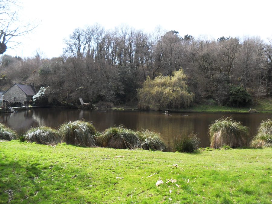 Moulin dans la nature de Baye, Finistère