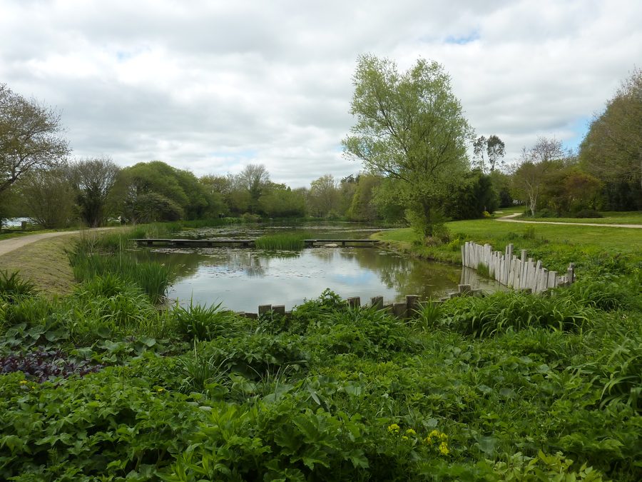 L’Étang des Sources à Maël-Carhaix, entouré de végétation