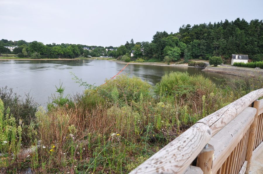 Uferlandschaft des Lac au Duc bei Ploërmel in der Bretagne