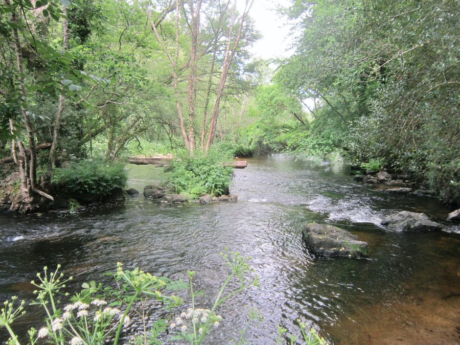 Die Isole nahe Saint-Thurien in einer bewaldeten Flusslandschaft