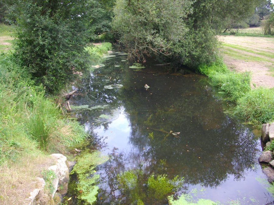 Loc'h river in Penhouët hamlet, Grand-Champ, Morbihan, France