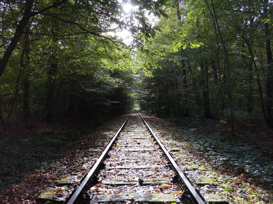 Vélo-rail-Strecke von Médréac durch eine ländliche Waldlandschaft