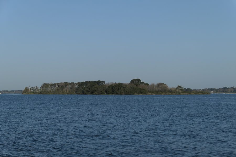 Blick auf die Insel Boëd in Séné im Golf von Morbihan