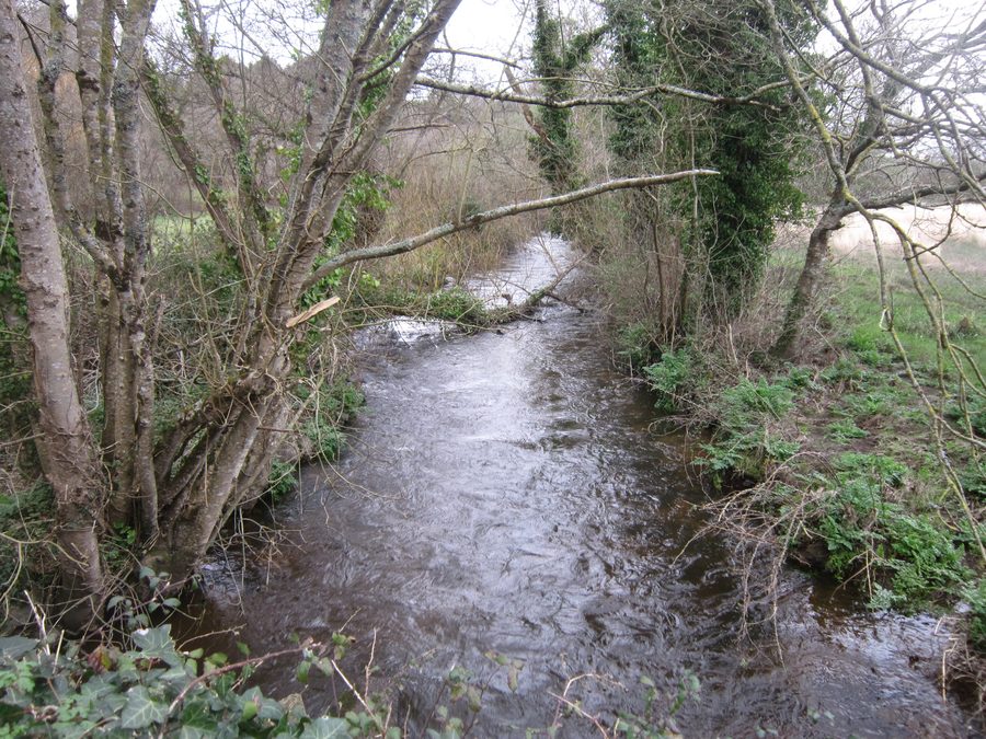 Le Goyen à la limite entre Mahalon et Confort-Meilars, vu depuis le pont de la route entre Mahalon et Meilars.
