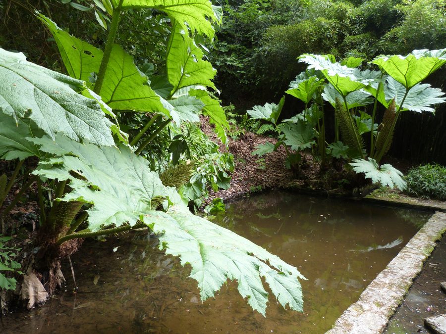 Becken der Grotte in den Jardins de Kerdalo in Trédarzec