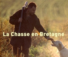 Jagen in der Bretagne