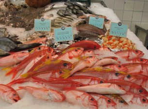 Bretagne Fisch-Markt